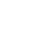 D & N Metals Co. Ltd